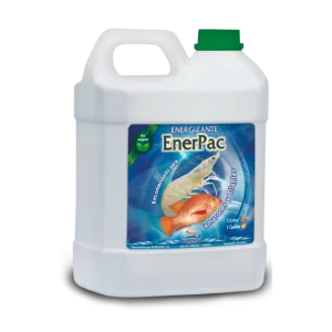 Enerpac