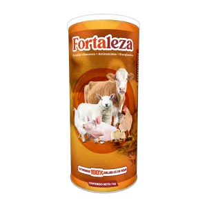 Fortaleza