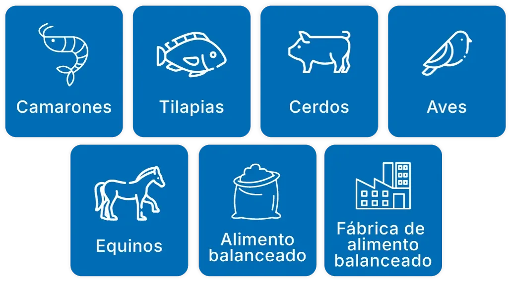 iconos-nosotros 2filas